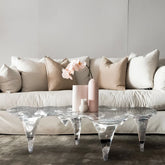 Water Shape Acrylic Coffee Table
